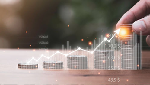 LLC Company Formation